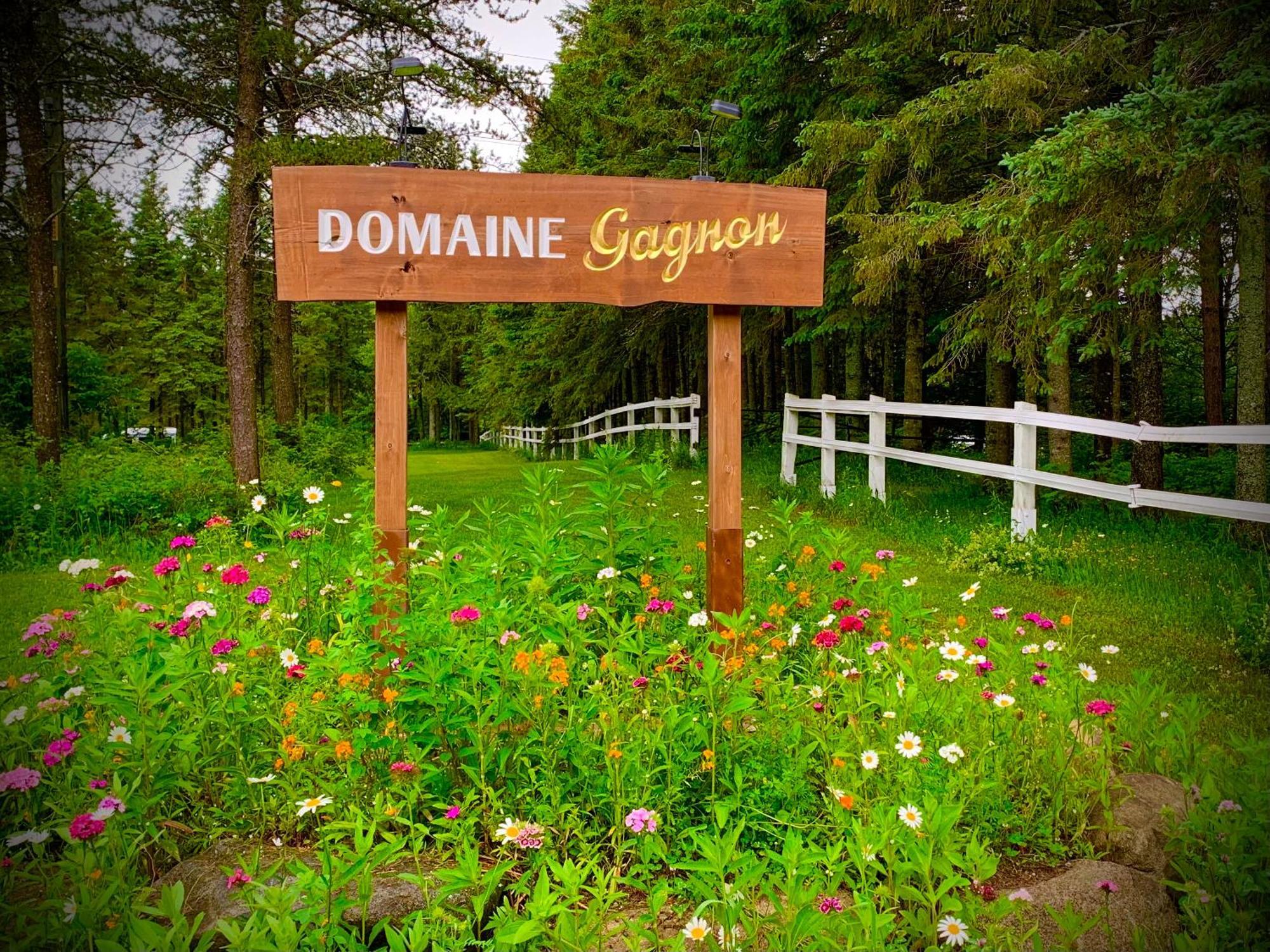 Domaine Gagnon Villa Saint Sebastien Kültér fotó