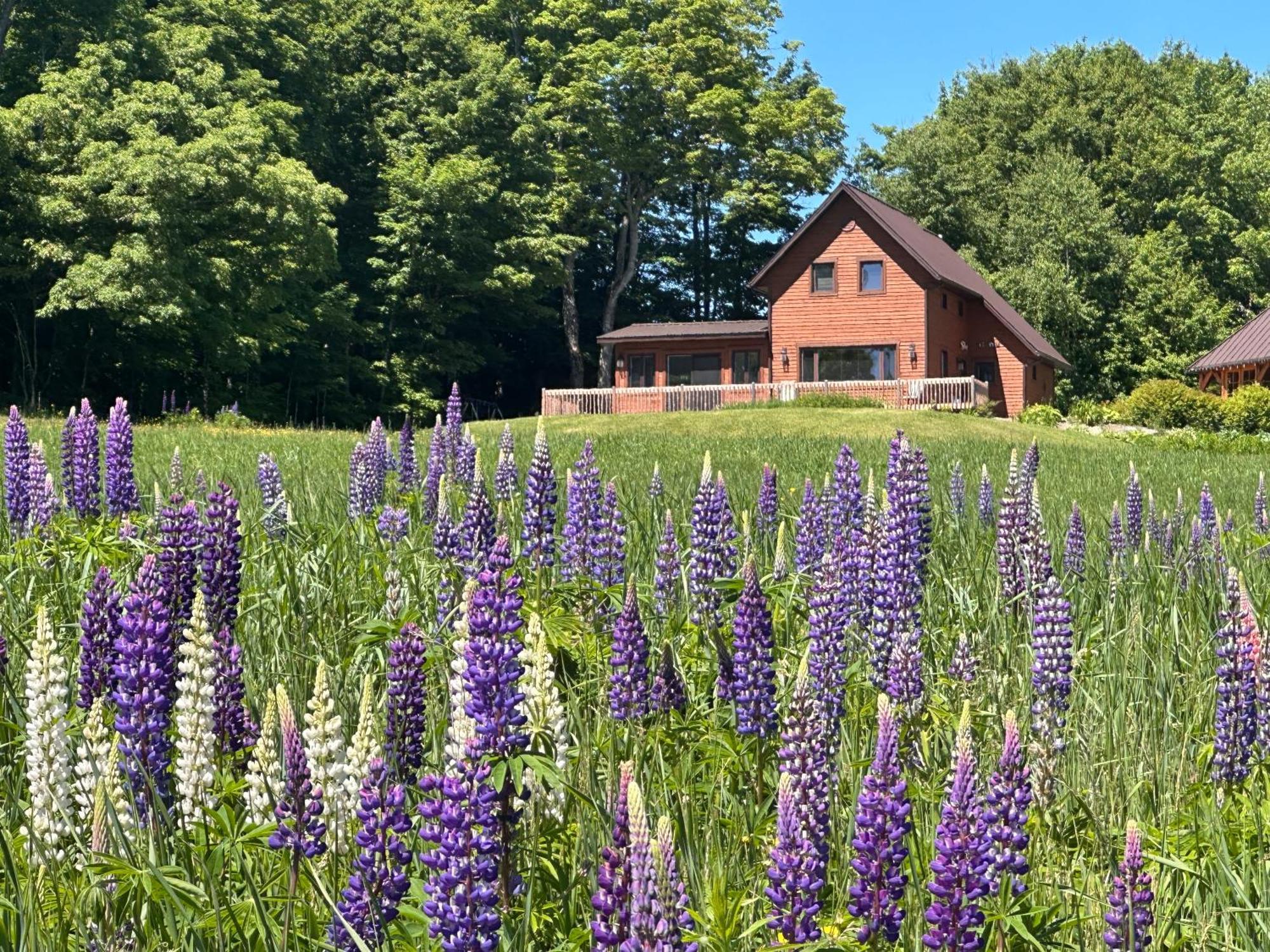 Domaine Gagnon Villa Saint Sebastien Kültér fotó